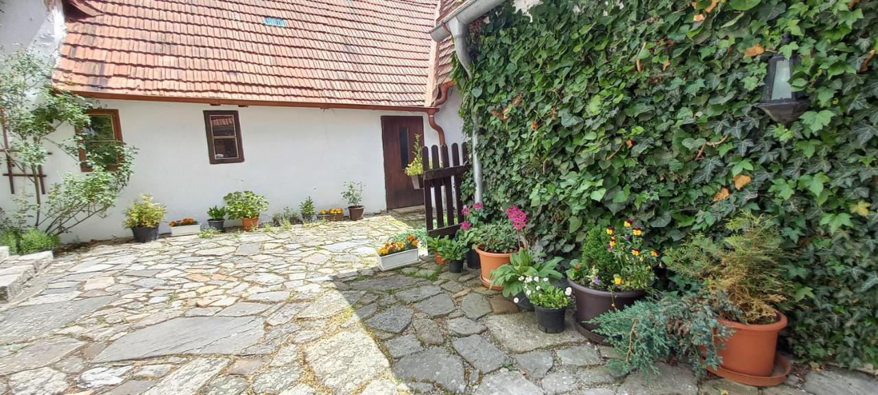 Český Krumlov Penzion Merlin מראה חיצוני תמונה